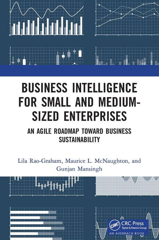 Business Intelligence for Small and Medium-Sized Enterprises: An Agile Roadmap toward Business Sustainability