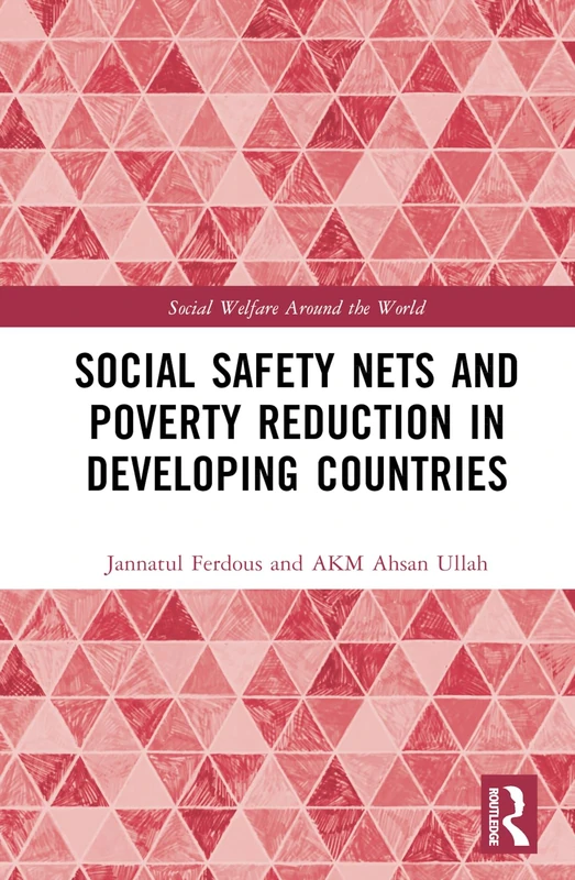 Social Safety Nets and Poverty Reduction in Developing Countries (Social Welfare Around the World)