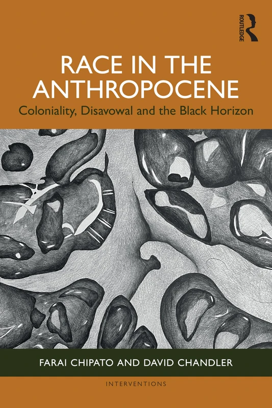 Race in the Anthropocene: Coloniality, Disavowal and the Black Horizon (Interventions)