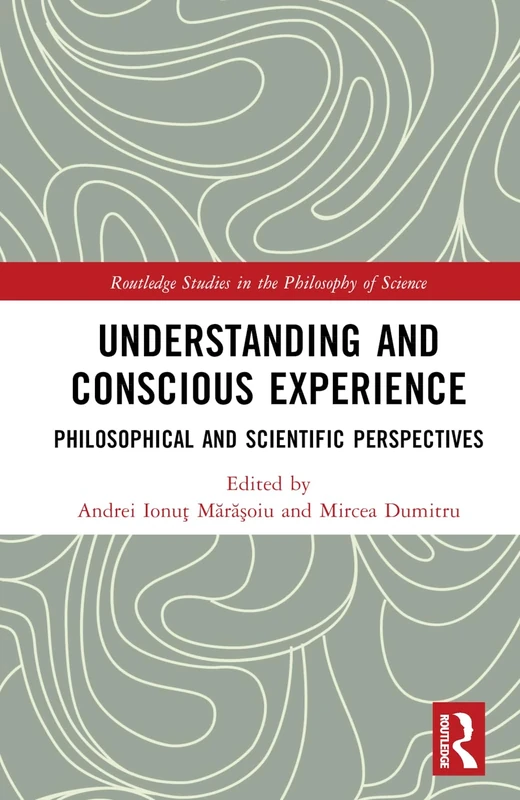 Understanding and Conscious Experience: Philosophical and Scientific Perspectives (Routledge Studies in the Philosophy of Science)
