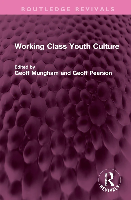 Working Class Youth Culture (Routledge Revivals)
