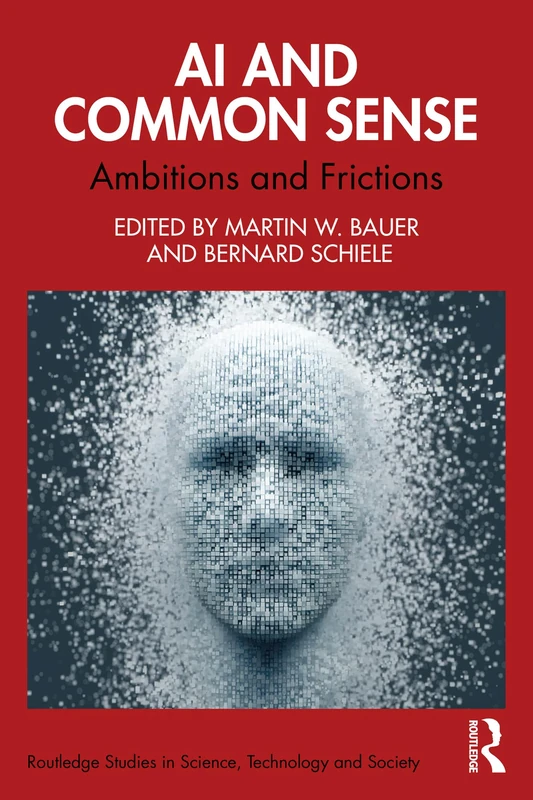 Routledge AI and Common Sense: Ambitions and Frictions Book