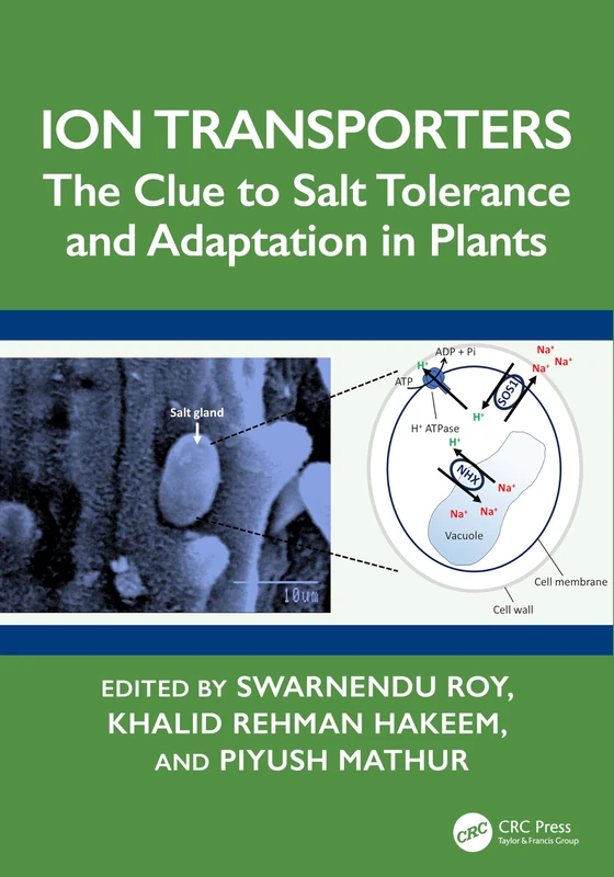 Ion Transporters: The Clue to Salt Tolerance and Adaptation in Plants - Image 1