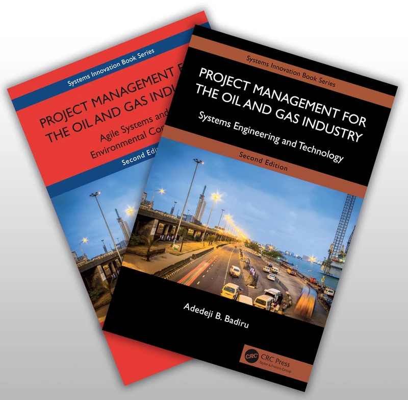 Project Management for the Oil and Gas Industry: A Global System Approach (Systems Innovation Book Series)