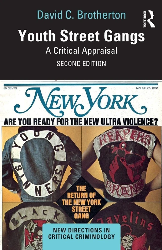 Youth Street Gangs: A Critical Appraisal (New Directions in Critical Criminology)