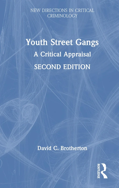 Youth Street Gangs: A Critical Appraisal (New Directions in Critical Criminology)
