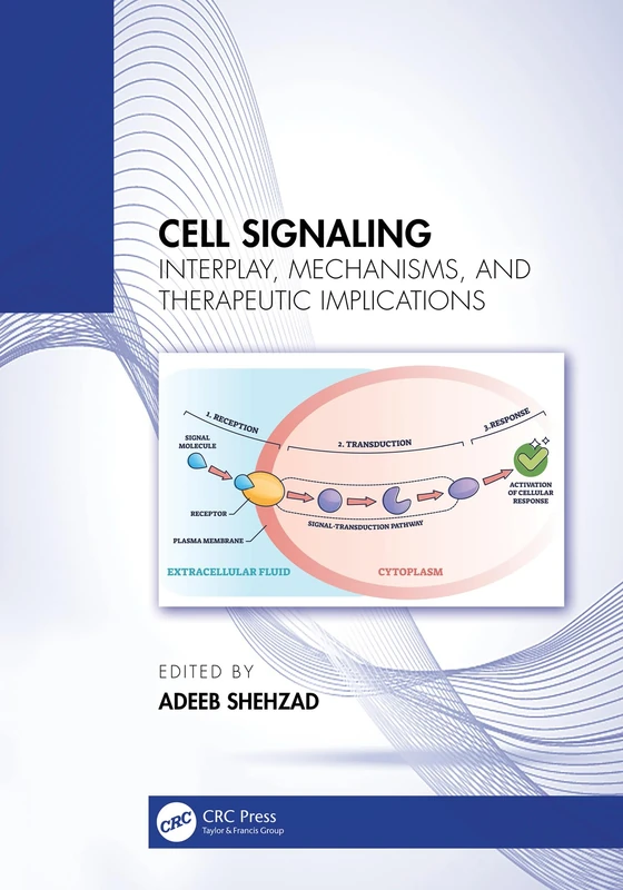 Cell Signaling: Interplay, Mechanisms, and Therapeutic Implications