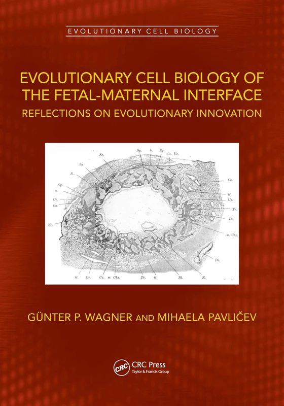 Evolutionary Cell Biology of the Fetal-Maternal Interface: Reflections on Evolutionary Innovation