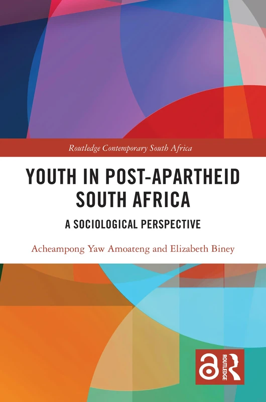 Youth in Post-Apartheid South Africa: A Sociological Perspective (Routledge Contemporary South Africa)