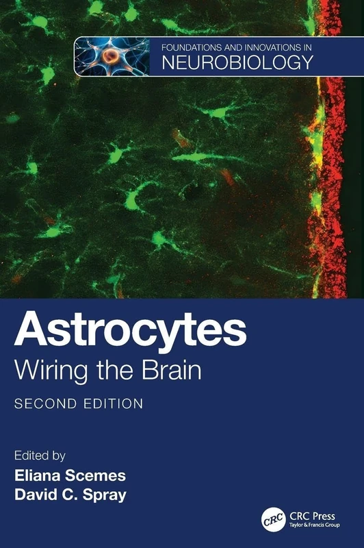 Astrocytes: Wiring the Brain (Frontiers in Neuroscience)
