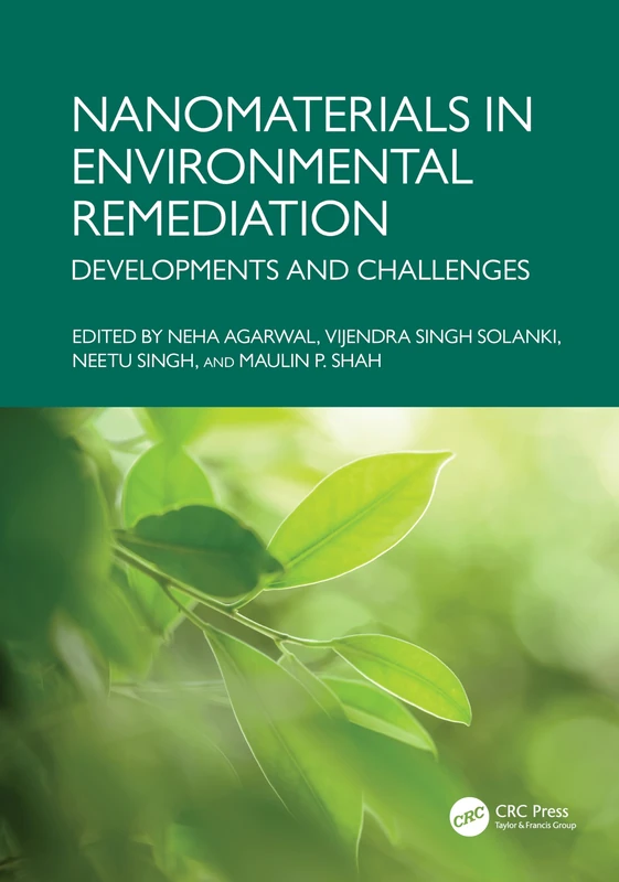 Nanomaterials in Environmental Remediation: Developments and Challenges