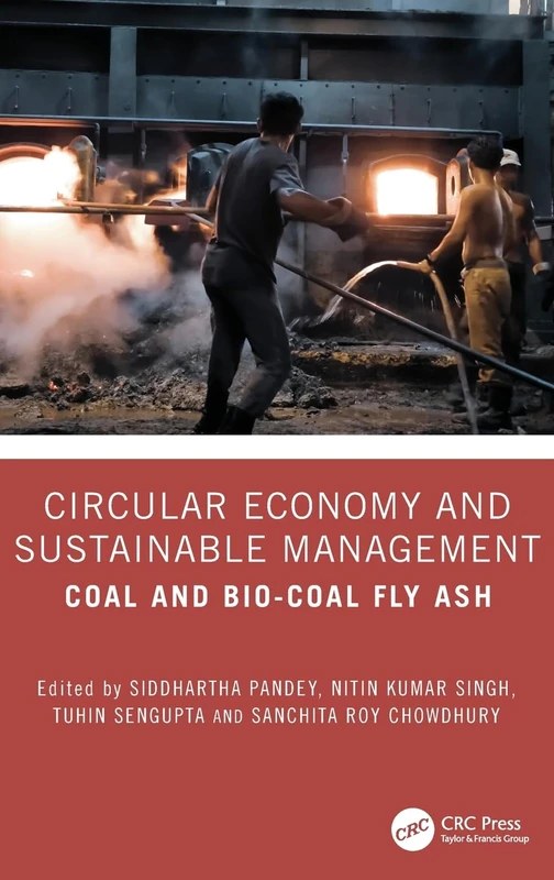 Circular Economy and Sustainable Management: Coal and Bio-Coal Fly Ash