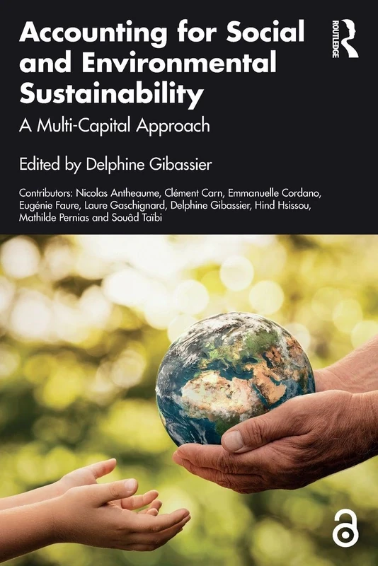Accounting for Social and Environmental Sustainability: A Multi-Capital Approach (Routledge Studies in Accounting)