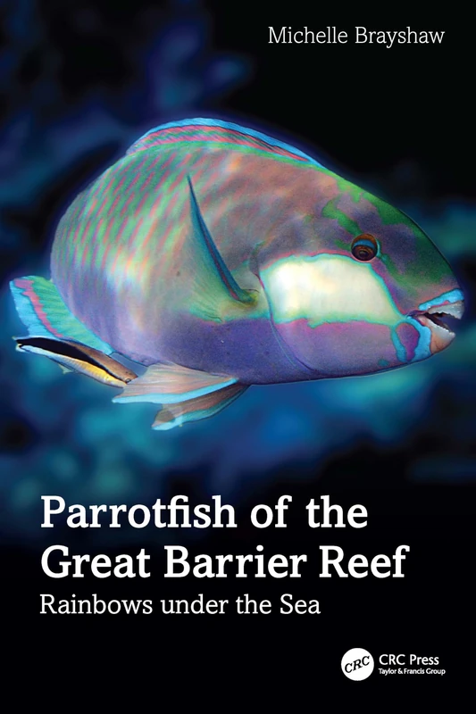 Parrotfish of the Great Barrier Reef: Rainbows under the Sea