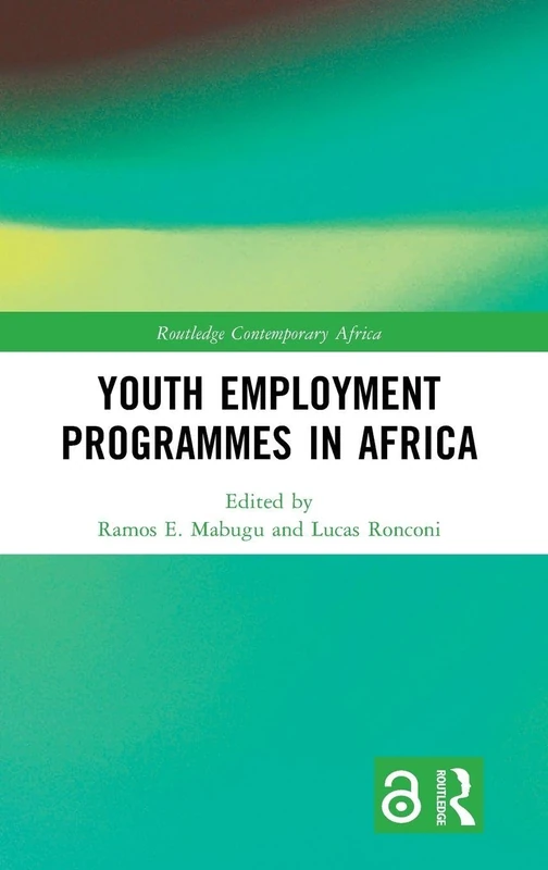 Youth Employment Programmes in Africa (Routledge Contemporary Africa)