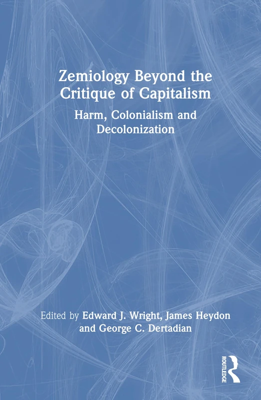 Routledge Zemiology Beyond the Critique of Capitalism Book
