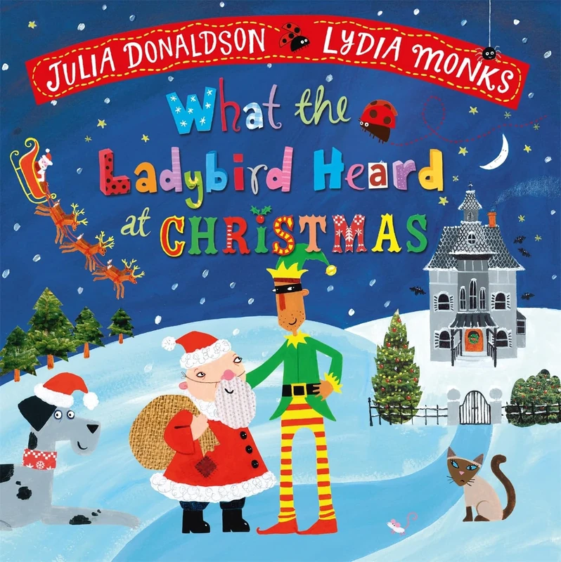What the Ladybird Heard at Christmas: A laugh-out-loud rhyming adventure!
