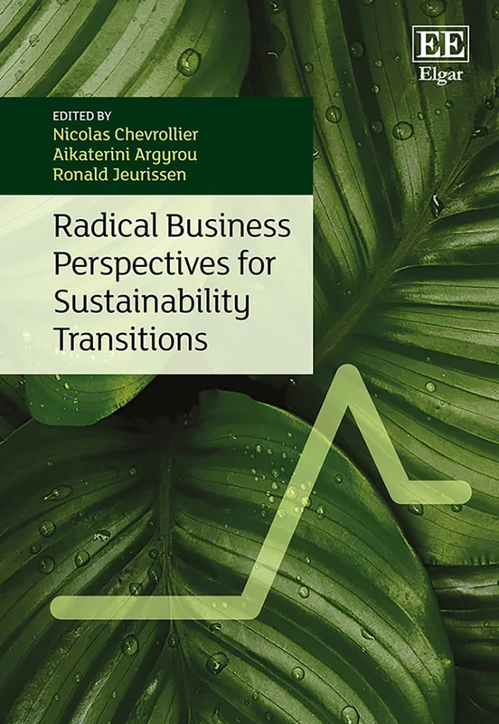 Radical Business Perspectives for Sustainability Transitions