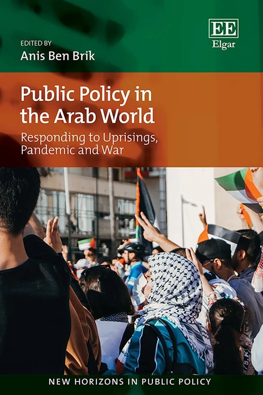 Public Policy in the Arab World: Responding to Uprisings, Pandemic, and War (New Horizons in Public Policy series)