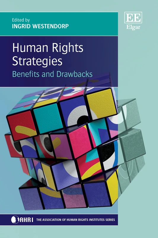 Human Rights Strategies: Benefits and Drawbacks (The Association of Human Rights Institutes series)