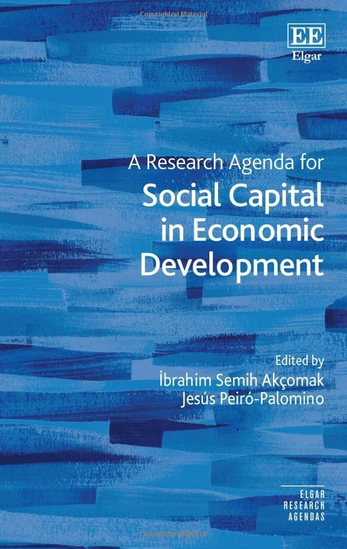 A Research Agenda for Social Capital in Economic Development (Elgar Research Agendas)