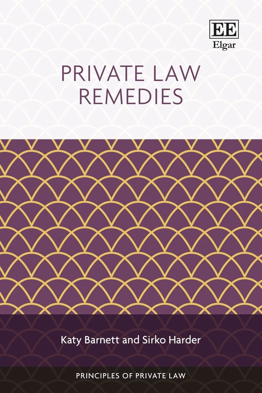 Private Law Remedies (Principles of Private Law series)