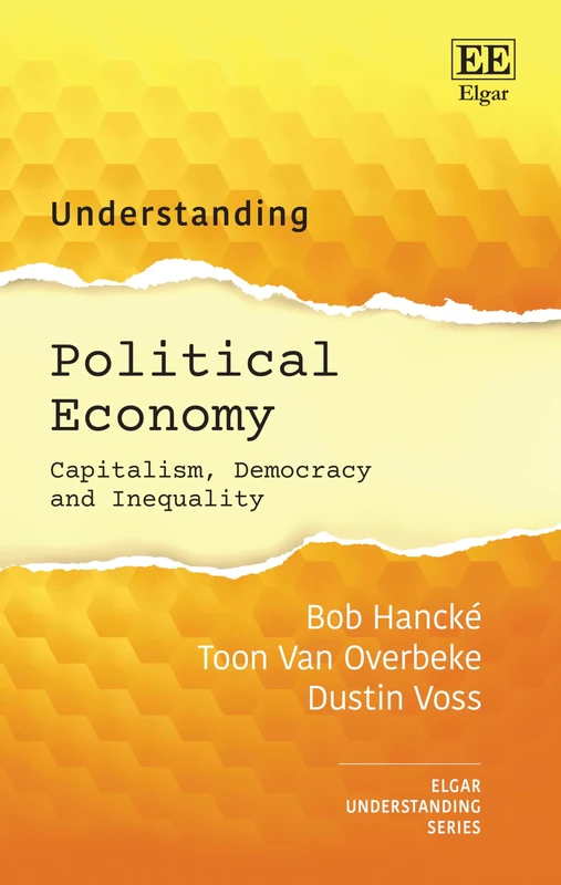 Understanding Political Economy: Capitalism, Democracy and Inequality (Understanding series)