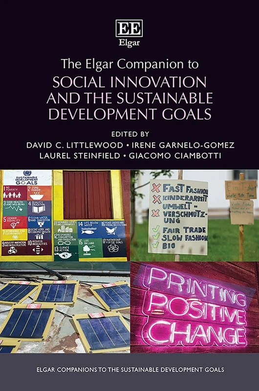 The Elgar Companion to Social Innovation and the Sustainable Development Goals (Elgar Companions to the Sustainable Development Goals series)