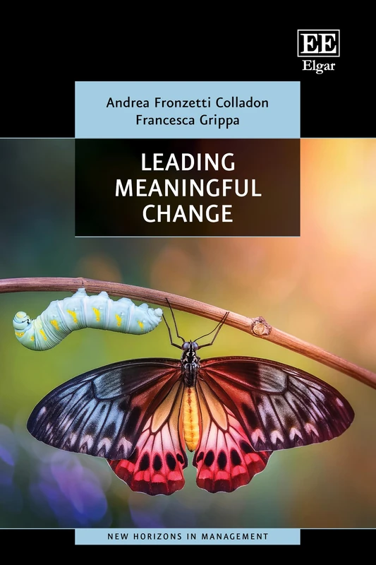 Leading Meaningful Change (New Horizons in Management series)