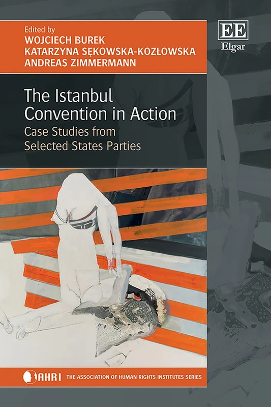 The Istanbul Convention in Action: Case Studies from Selected States Parties (The Association of Human Rights Institutes series)
