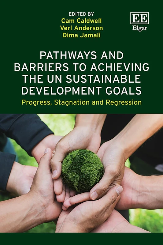 Pathways and Barriers to Achieving the UN Sustainable Development Goals: Progress, Stagnation and Regression
