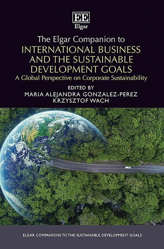 The Elgar Companion to International Business and the Sustainable Development Goals: A Global Perspective on Corporate Sustainability (Elgar Companions to the Sustainable Development Goals series)
