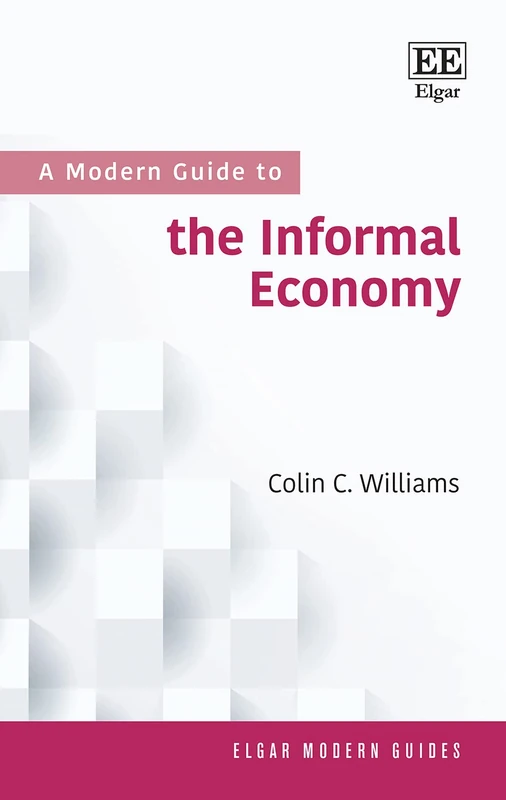 A Modern Guide to the Informal Economy (Elgar Modern Guides)