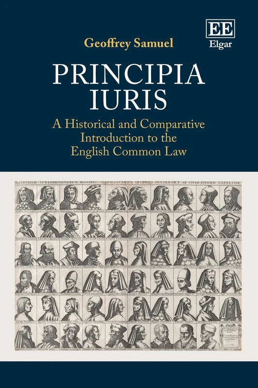 Principia Iuris: A Historical and Comparative Introduction to the English Common Law