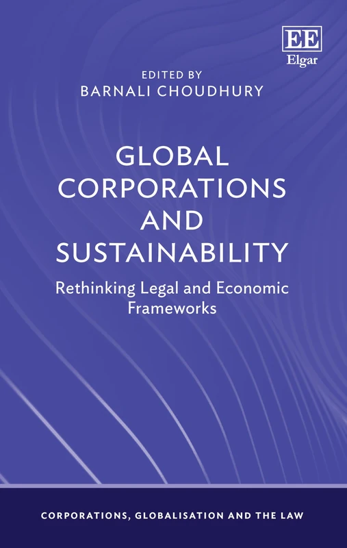 Global Corporations and Sustainability: Rethinking Legal and Economic Frameworks (Corporations, Globalisation and the Law series)
