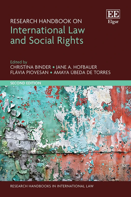 Research Handbook on International Law and Social Rights: Second Edition