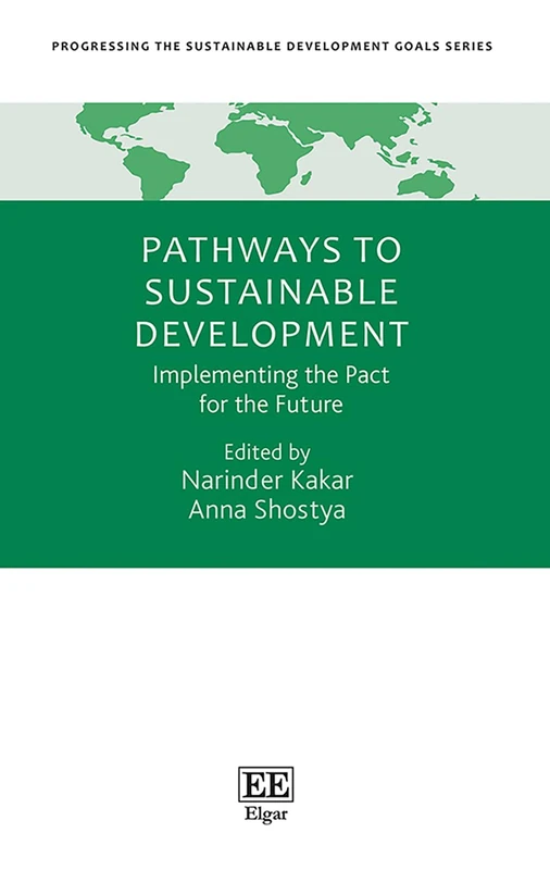 Pathways To Sustainable Development: Implementing the Pact for the Future (Progressing the Sustainable Development Goals series)