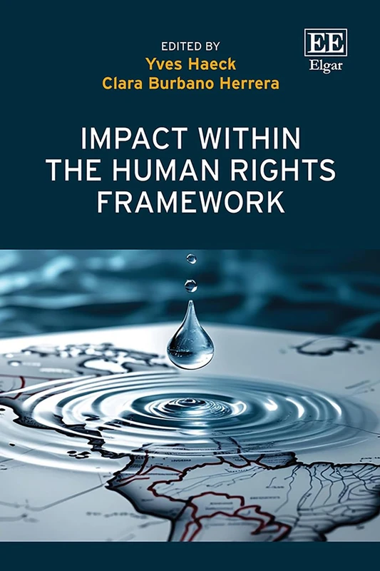 Impact within the Human Rights Framework