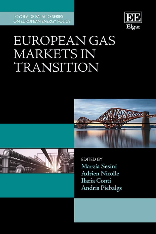 European Gas Markets in Transition (Loyola de Palacio Series on European Energy Policy)