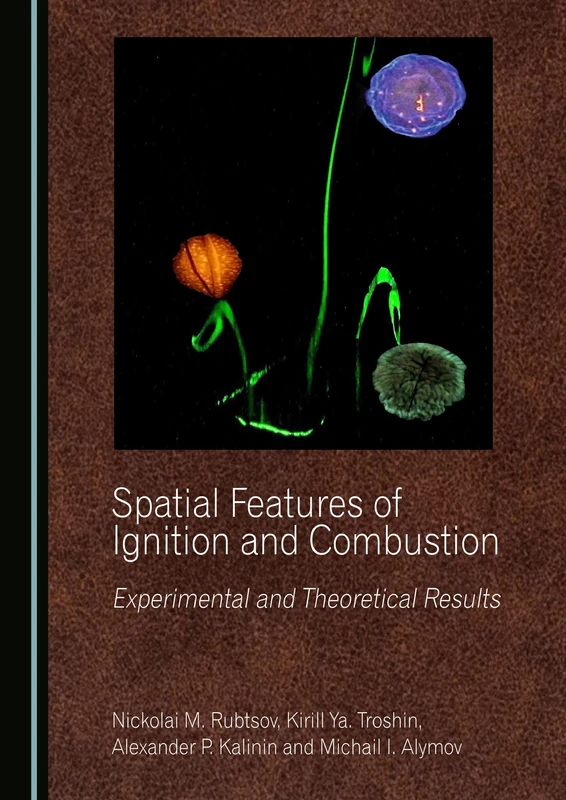 Spatial Features of Ignition and Combustion: Experimental and Theoretical Results