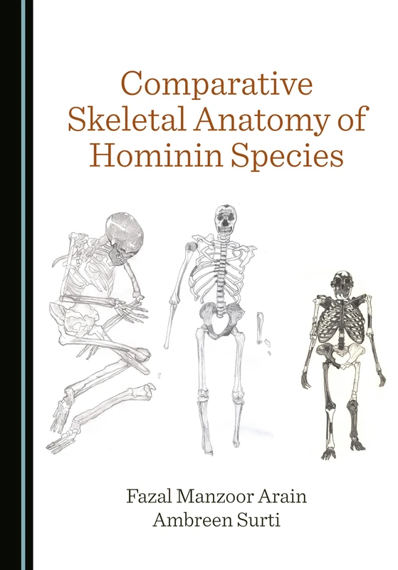 Comparative Skeletal Anatomy of Hominin Species - Image 1
