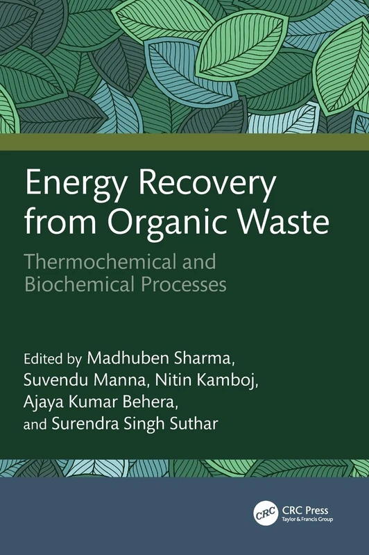 Energy Recovery from Organic Waste: Thermochemical and Biochemical Processes
