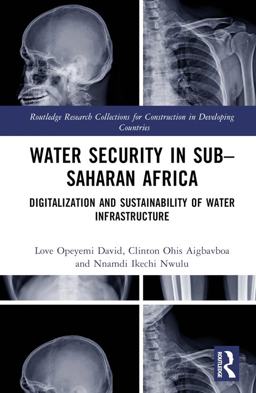 Water Security in Sub-Saharan Africa: Digitalization and Sustainability of Water Infrastructure (Routledge Research Collections for Construction in Developing Countries)