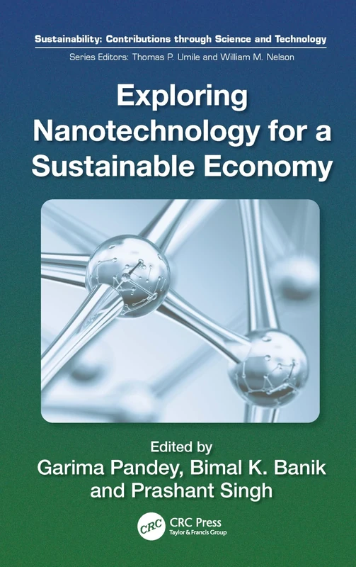 Exploring Nanotechnology for a Sustainable Economy (Sustainability: Contributions through Science and Technology)