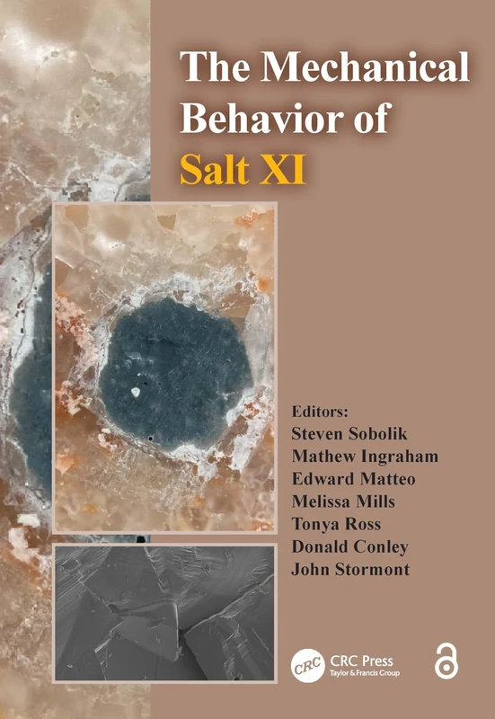 The Mechanical Behavior of Salt XI