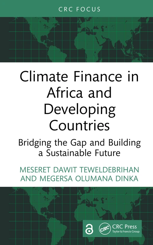 Climate Finance in Africa and Developing Countries: Bridging the Gap and Building a Sustainable Future