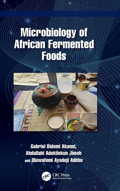 Microbiology of African Fermented Foods
