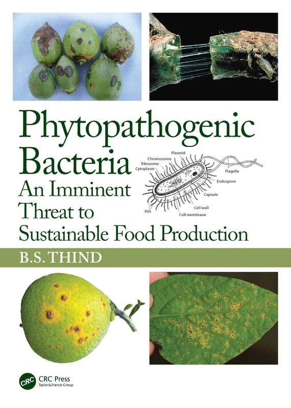Phytopathogenic Bacteria: An Imminent Threat to Sustainable Food Production