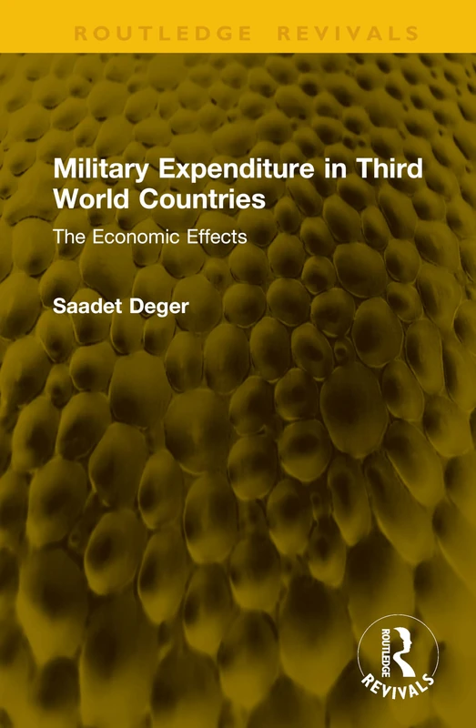Military Expenditure in Third World Countries: The Economic Effects (Routledge Revivals)