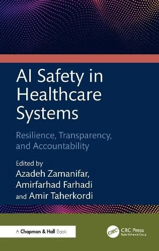 AI Safety in Healthcare Systems: Resilience, Transparency, and Accountability
